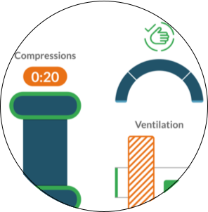 Compressions w Border